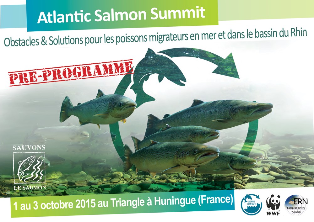 salmon-summit_preprog